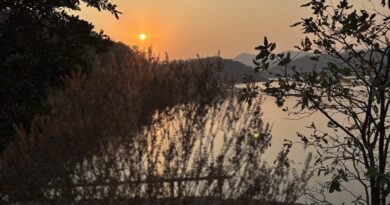 Nature-Why-Do-Sunsets-Have-Different-Colors-The-Science-Behind-the-Magic