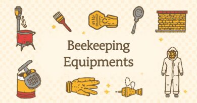 Study-of-Worker-Bee-Morphology-Thumbnail