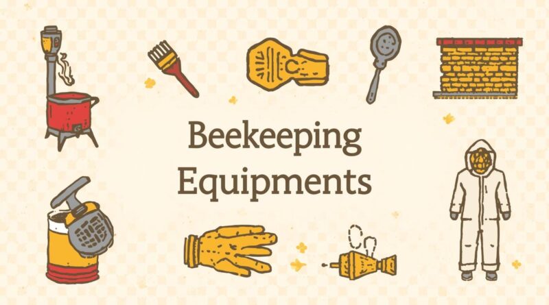 Study-of-Worker-Bee-Morphology-Thumbnail